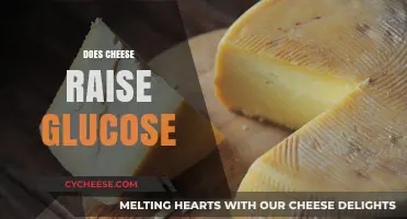 Does Cheese Raise Glucose? Unraveling the Dairy-Diabetes Connection