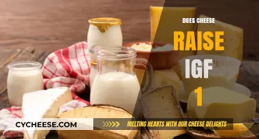 Cheese and IGF-1: Unraveling the Impact on Hormone Levels
