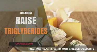 Cheese and Triglycerides: Unraveling the Impact on Your Health