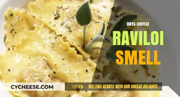 Does Cheese Ravioli Smell? Unraveling the Aromatic Mystery of This Dish