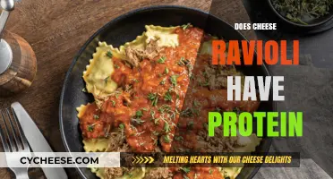 Cheese Ravioli Protein Content: Uncovering Nutritional Value in Every Bite