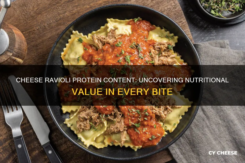 does cheese ravioli have protein