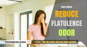 Can Cheese Curb Your Gas Smell? Uncovering the Truth