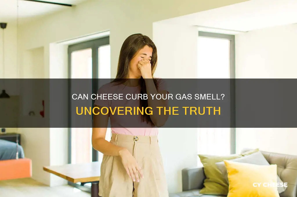 does cheese reduce flatulence odor