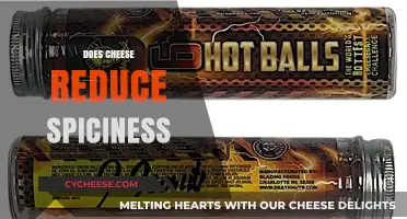 Can Cheese Tame the Heat? Exploring Spiciness Relief with Dairy