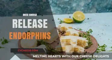 Cheese and Endorphins: Unraveling the Science Behind the Comfort Food