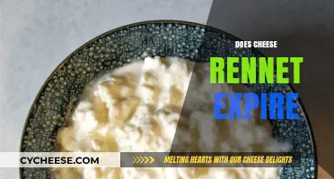 Does Cheese Rennet Expire? Shelf Life and Storage Tips Revealed