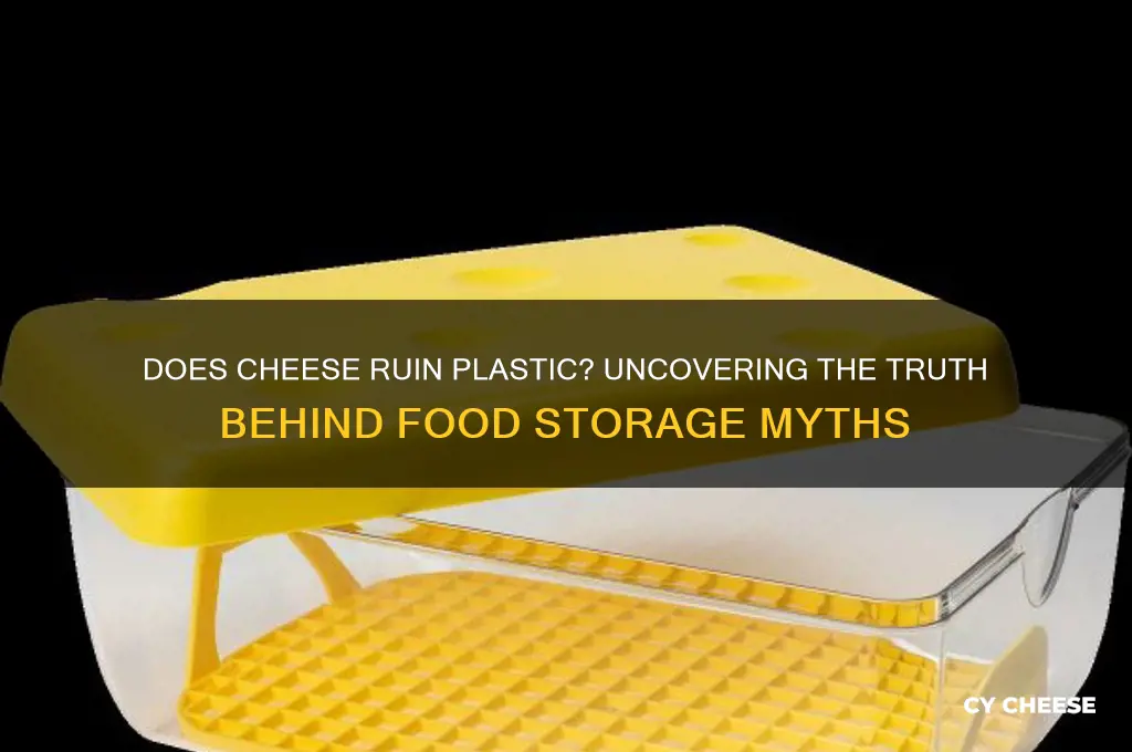 does cheese ruin plastic