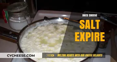 Does Cheese Salt Expire? Shelf Life and Storage Tips Explained
