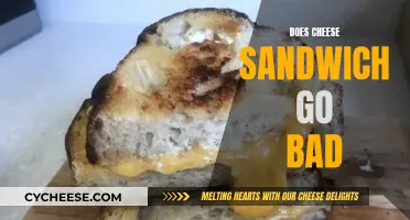 Cheese Sandwiches: How Long Do They Last?