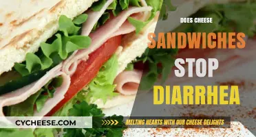 Can Cheese Sandwiches Help Stop Diarrhea? Surprising Facts Revealed