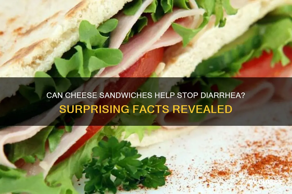 does cheese sandwiches stop diarrhea