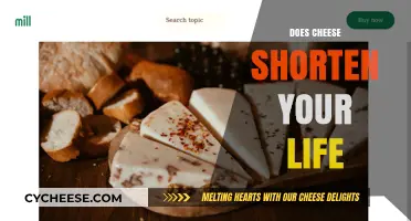 Cheese and Longevity: Unraveling the Myth of Life-Shortening Dairy