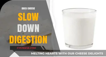 Does Cheese Slow Down Digestion? Unraveling the Dairy Dilemma