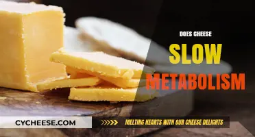 Does Cheese Slow Metabolism? Unraveling the Dairy Dilemma