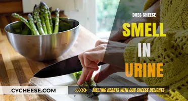 Does Cheese Cause Urine Odor? Unraveling the Smelly Mystery