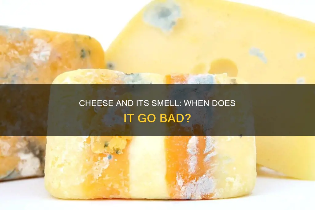 does cheese smell when it goes bad