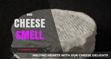 Does Cheese Smell? Exploring the Aromatic Truth Behind Dairy Delights