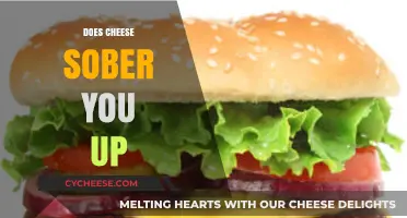 Can Cheese Sober You Up? Debunking the Myth and Facts