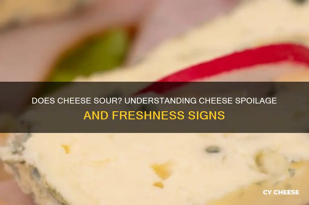 does cheese sour