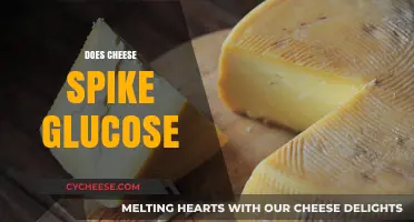 Does Cheese Spike Glucose? Unraveling the Dairy-Blood Sugar Connection