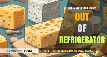 Does Cheese Spoil Overnight? Risks of Leaving Cheese Unrefrigerated