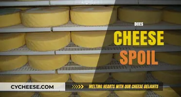 Does Cheese Spoil? Understanding Shelf Life and Storage Tips