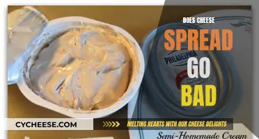 Cheese Spread: How Long Does it Last?