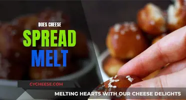 Cheese Spread Melting: A Quick Guide