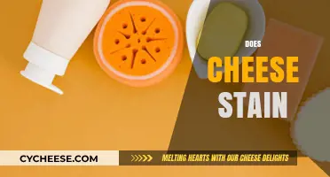 Does Cheese Stain? Tips for Removing Cheese Stains Easily