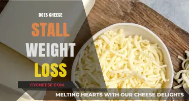 Cheese and Weight Loss: Myth or Diet-Friendly Indulgence?