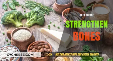 Cheese and Bone Health: Uncovering the Calcium Connection for Stronger Bones