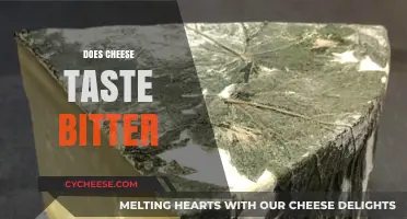 Exploring the Bitter Truth: Does Cheese Really Taste Bitter?