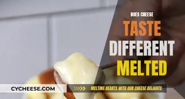 Melted Cheese: A Different Taste Sensation?