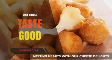 Does Cheese Taste Good? Exploring the Irresistible Appeal of Cheese