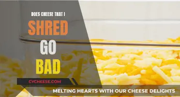 Shredded Cheese: How Long Does it Last?