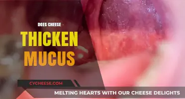 Does Cheese Thicken Mucus? Unraveling the Dairy-Mucus Connection