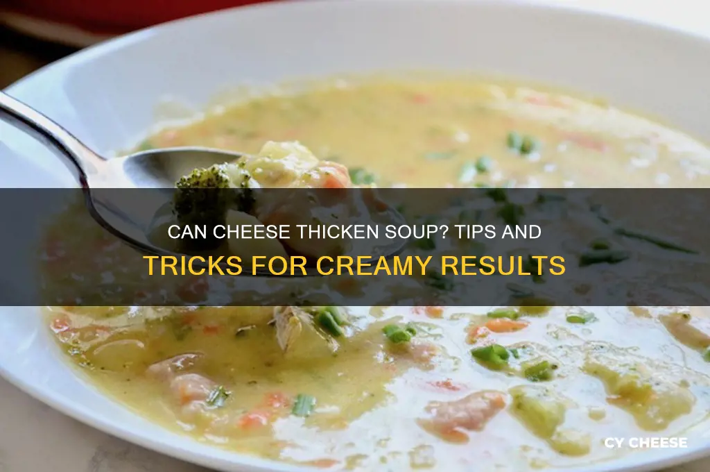 does cheese thicken soup