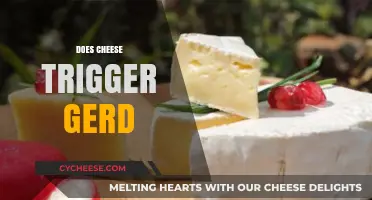 Can Cheese Cause Acid Reflux? Unraveling the GERD Connection
