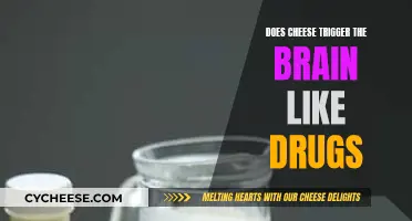 Cheese and Brain: Similar to Drugs?