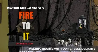 Cheese and Fire: What's the Deal?