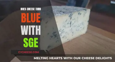 Blue Cheese and Age: The Science Behind the Color