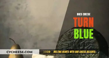 Cheese Turning Blue: Why and When It Happens