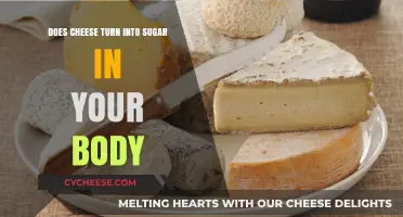 Does Cheese Turn into Sugar? Unraveling the Body's Metabolic Mystery