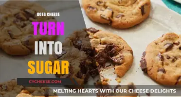 Does Cheese Turn into Sugar? Unraveling the Dairy-to-Glucose Myth