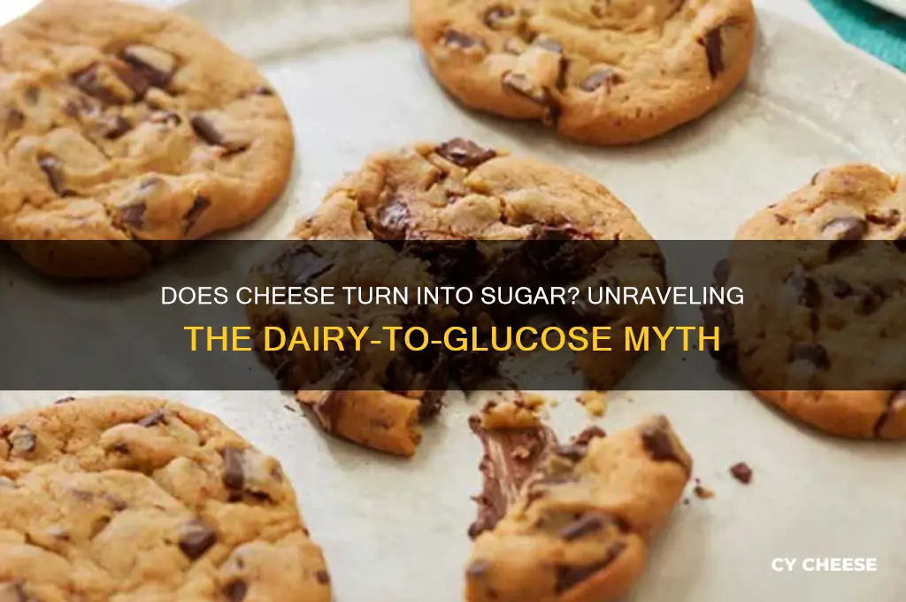 does cheese turn into sugar
