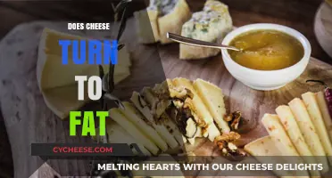 Does Cheese Turn to Fat? Unraveling the Truth Behind Dairy and Weight Gain