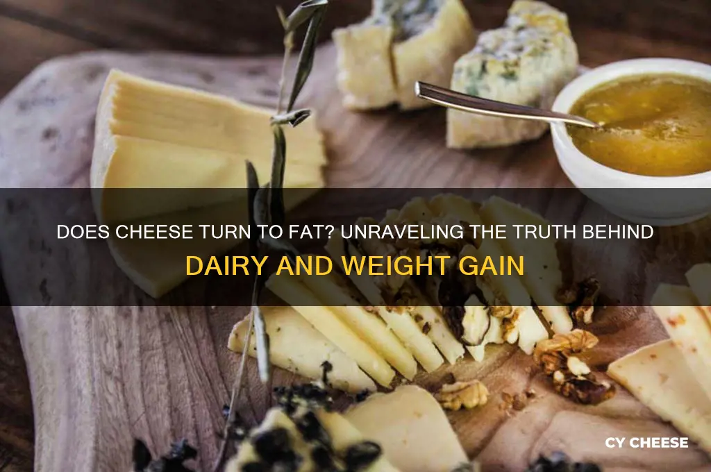 does cheese turn to fat