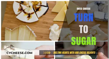 Does Cheese Turn to Sugar? Unraveling the Myth and Facts