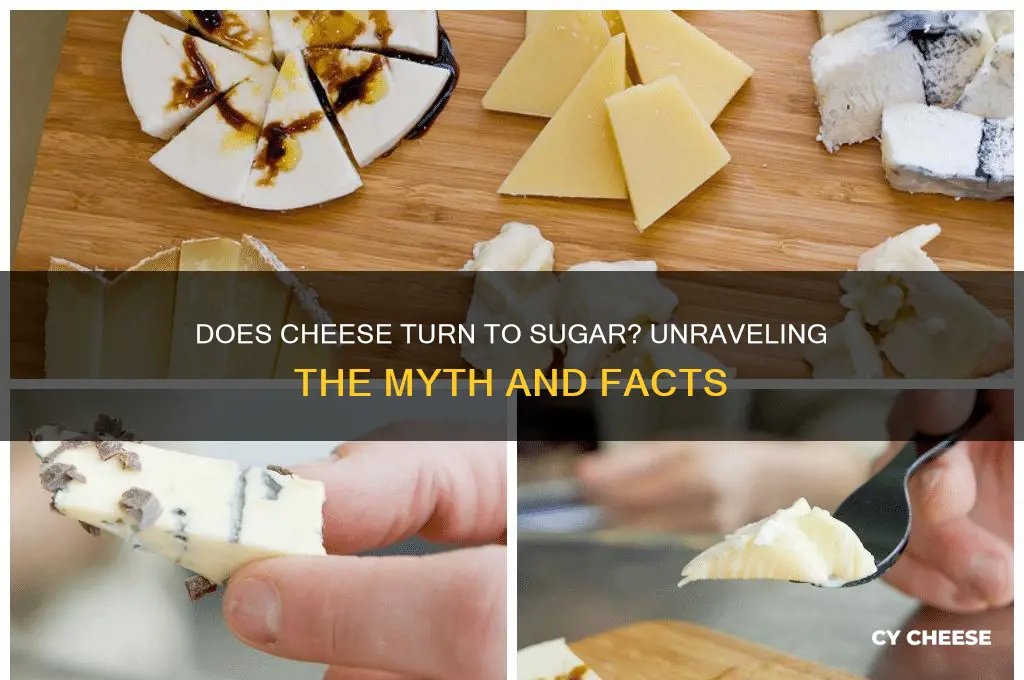 does cheese turn to sugar